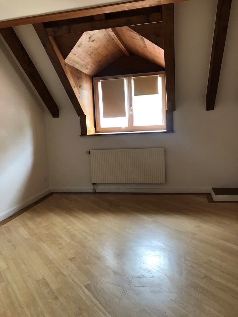 Grand 3.5 pièces en duplex proche de toutes les commodités (3)