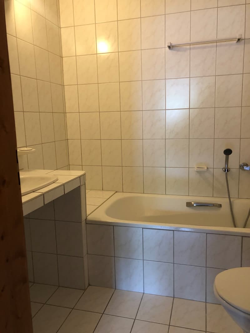 Grand 3.5 pièces en duplex proche de toutes les commodités (4)
