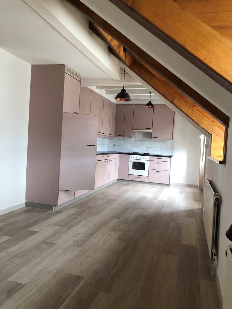 Grand 3.5 pièces en duplex proche de toutes les commodités (6)