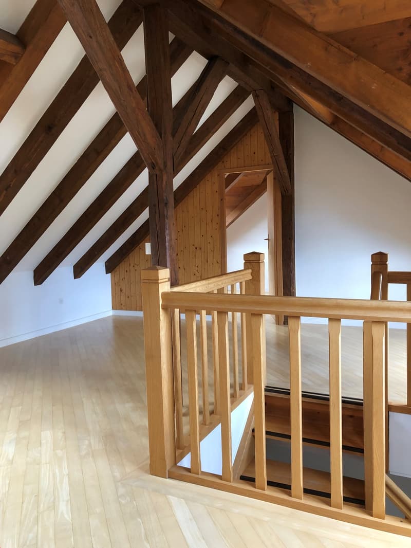 Grand 3.5 pièces en duplex proche de toutes les commodités (9)