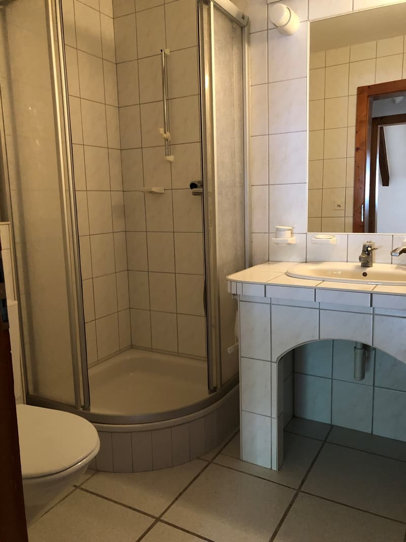 Grand 3.5 pièces en duplex proche de toutes les commodités (7)