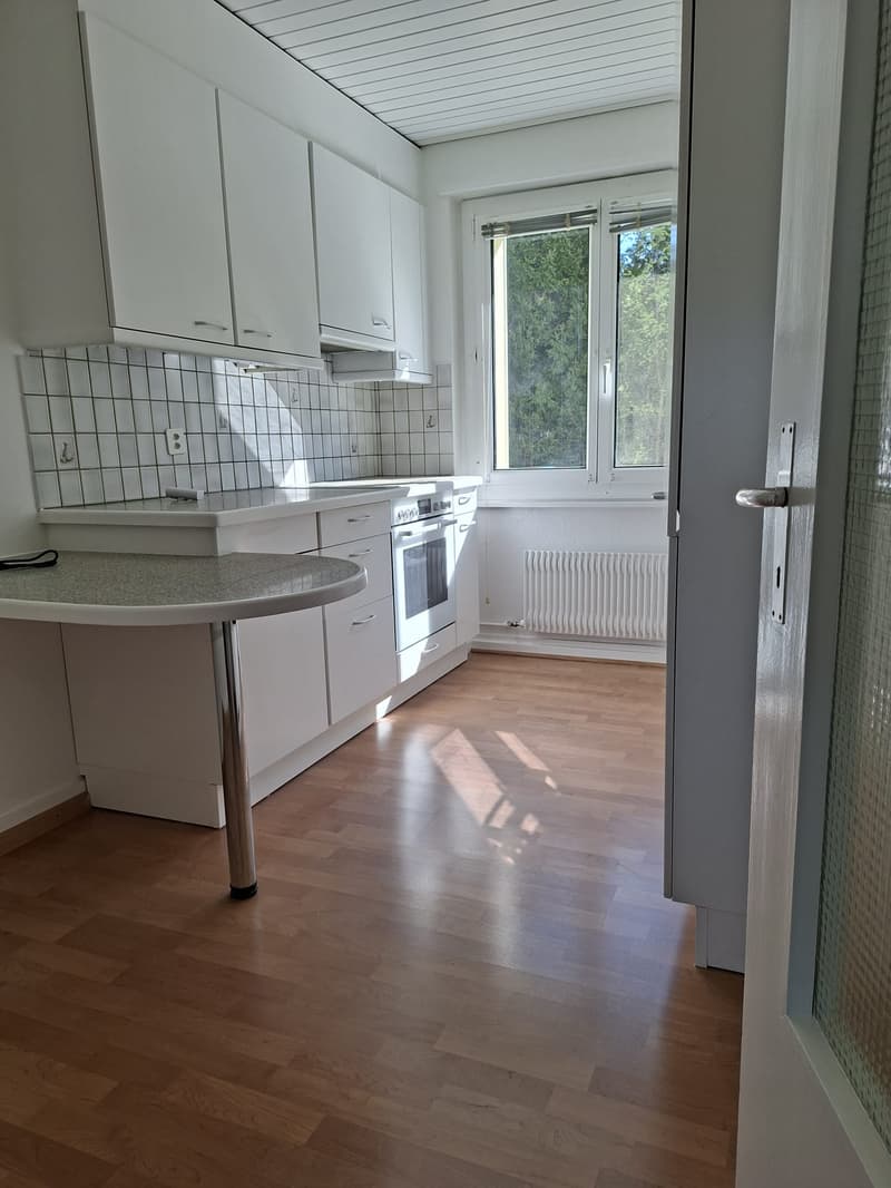 Appartement 3.5 pièces lumineux et disponible de suite au Locle (1)
