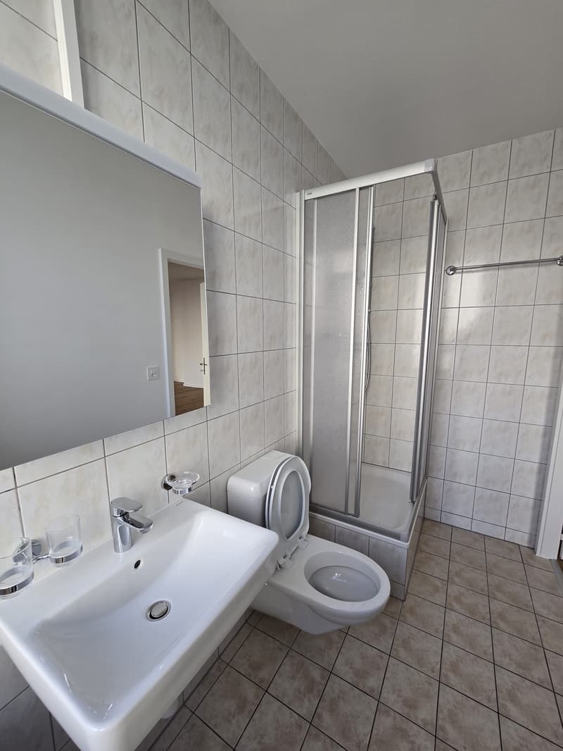 Appartement de 3 pièces lumineux à louer à La Chaux-de-Fonds (7)