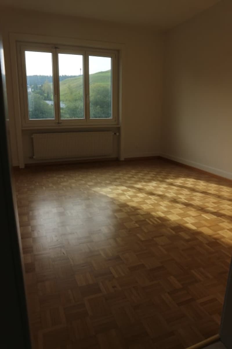 Appartement de 4 pièces au Locle (4)