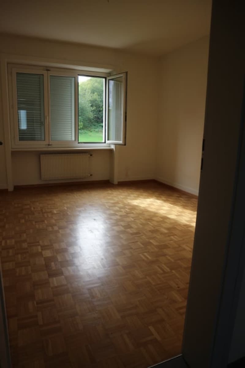 Appartement de 2 pièces au Locle (2)
