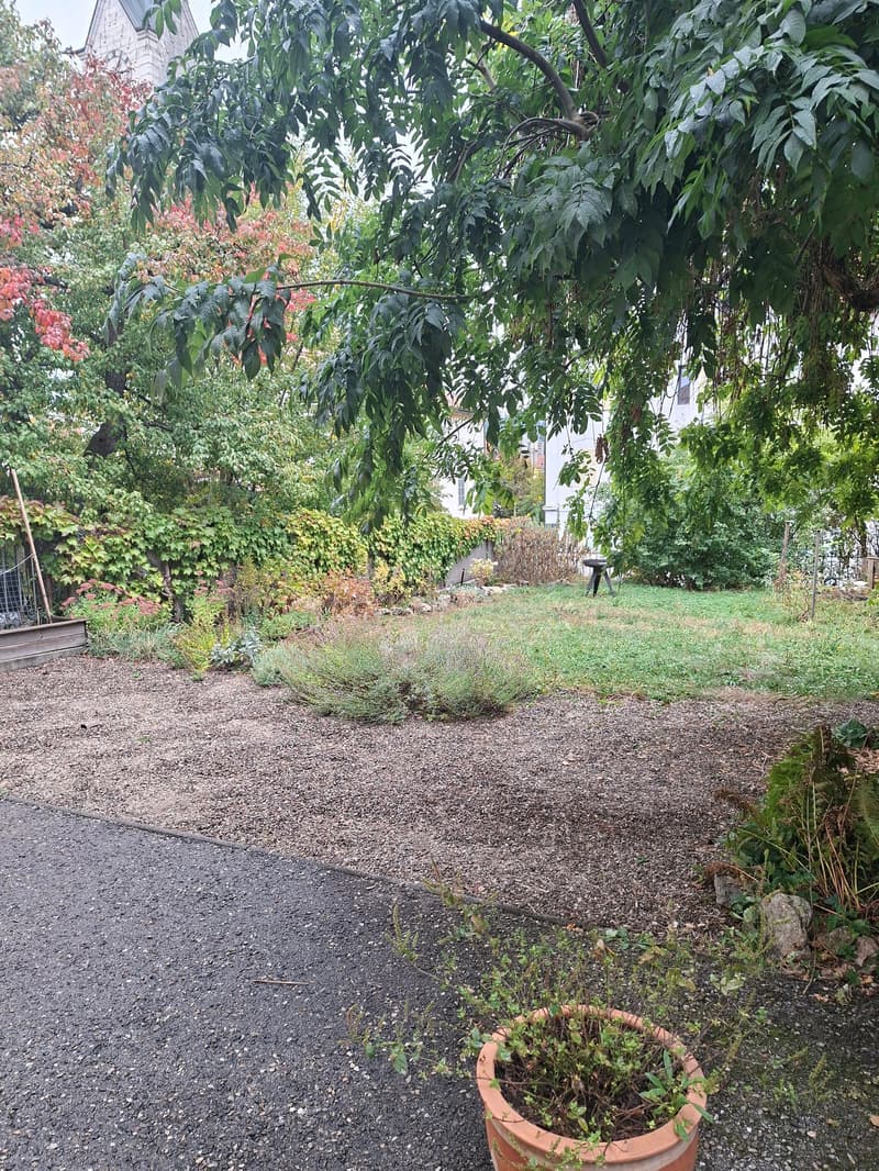 Spacieuse maison de 9 pièces à louer à La Chaux-de-Fonds (2)