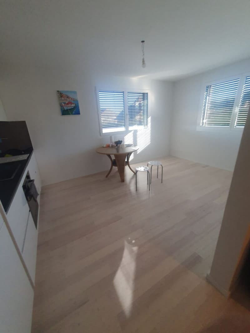 A louer - Appt 1.5 pce de 30m2 - Essillaz 9b - 1041 Poliez-Pittet (3)