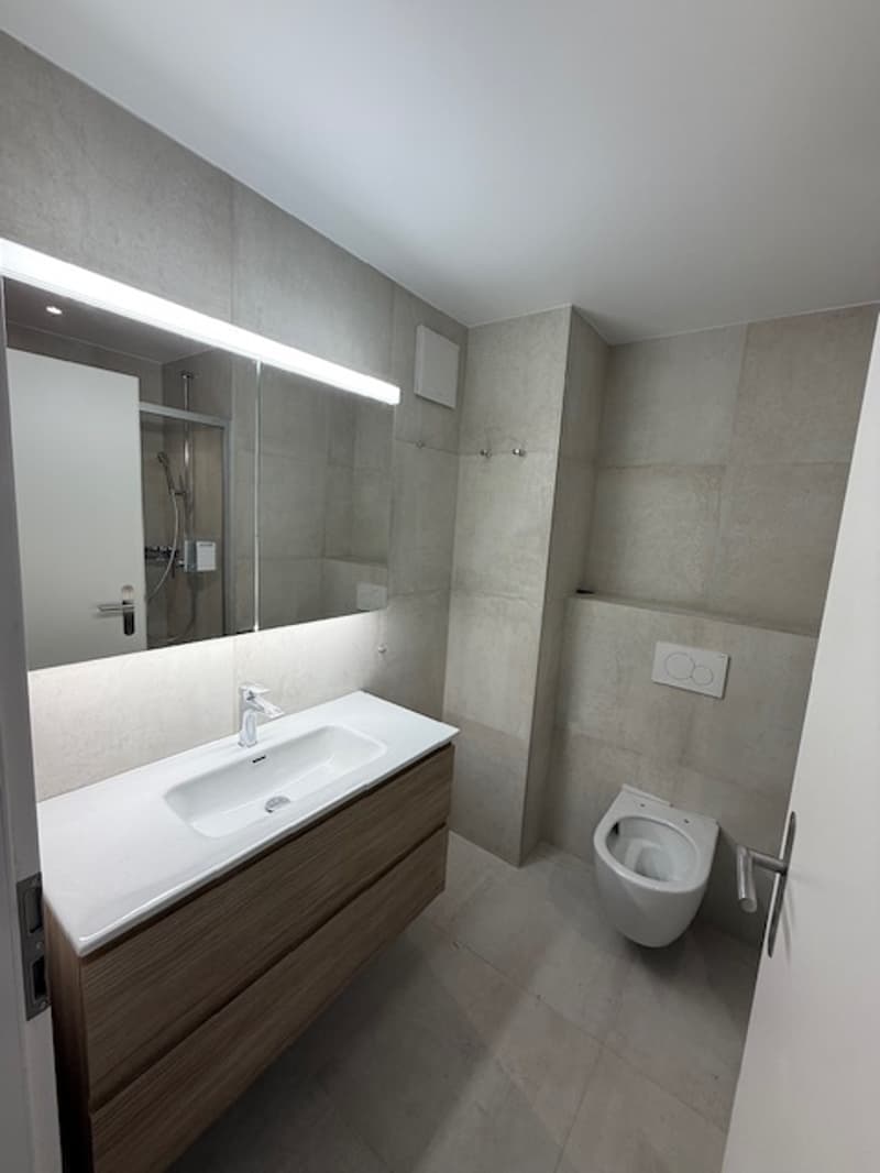A louer - Appt neuf 3.5 pces - 91m2 + balcon - 1040 Villars-le-Terroir (13)