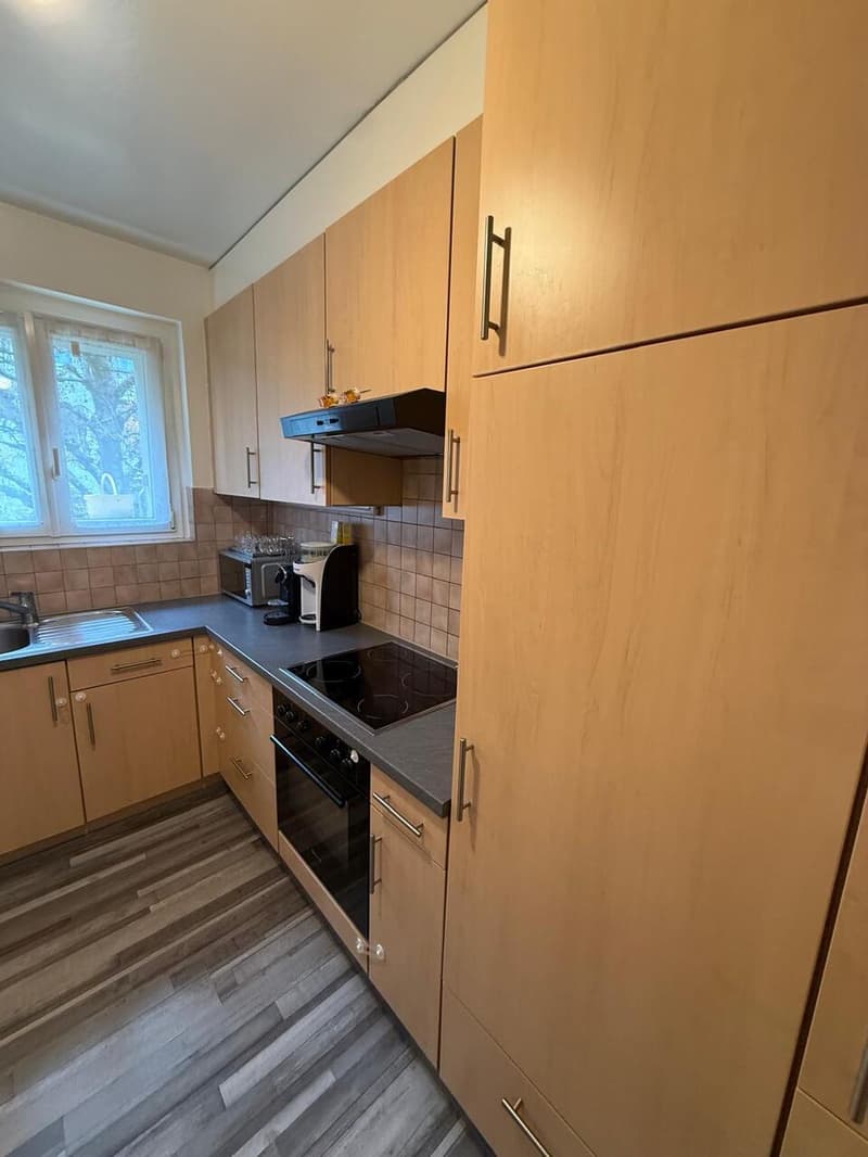 A louer - Appt. de 4.5 p - 84 m2 - Av. Victor-Ruffy 31 - 1012 Lausanne (11)