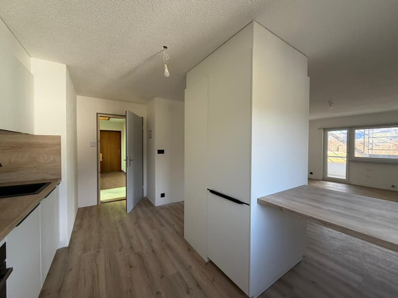 Dernier studio entièrement rénové avec intérieur moderne (3)