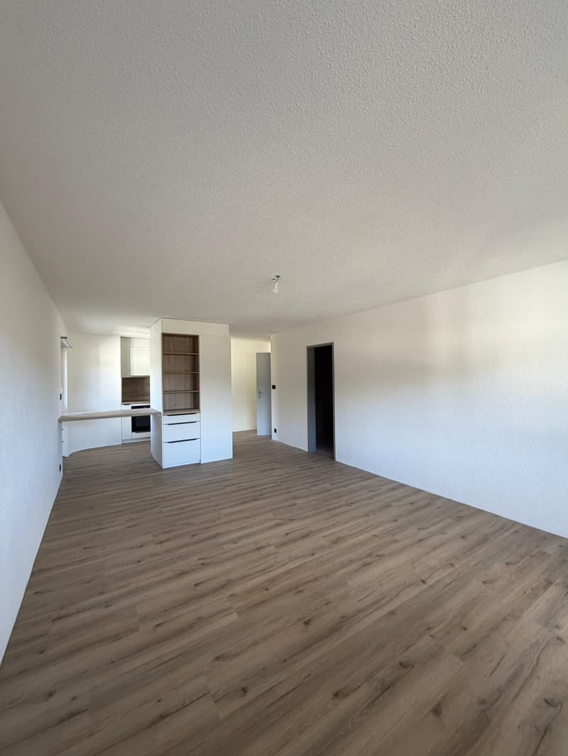 Dernier studio entièrement rénové avec intérieur moderne (2)