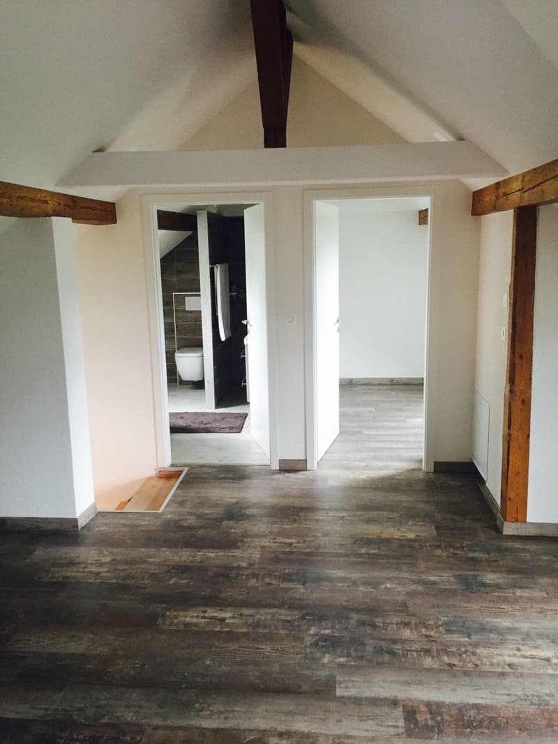 Jolie maison de 3 étages comprenant 2 appartements - 100% loué (4)