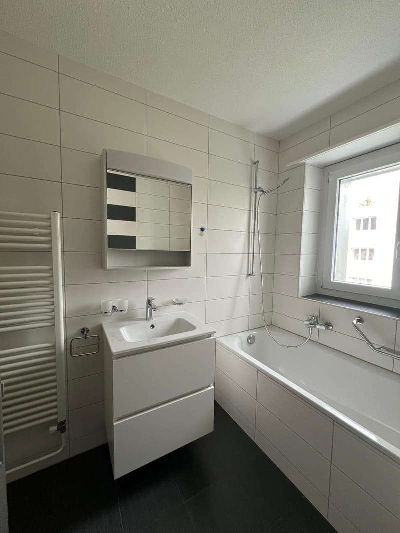 Dernier appartement de 4.5 pièces dans résidence entièrement rénovée (4)