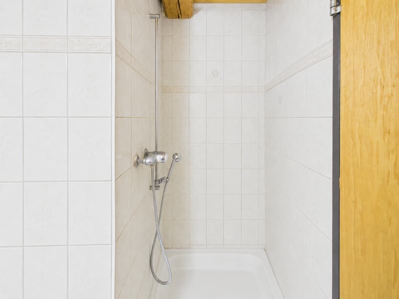 Joli appartement de 4.5pcs à Courtételle (10)