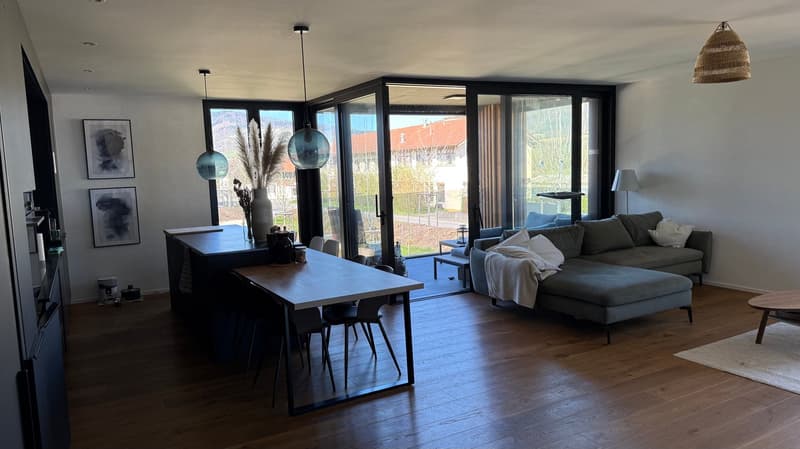 Magnifique appartement de 2.5 pces haut standing (4)