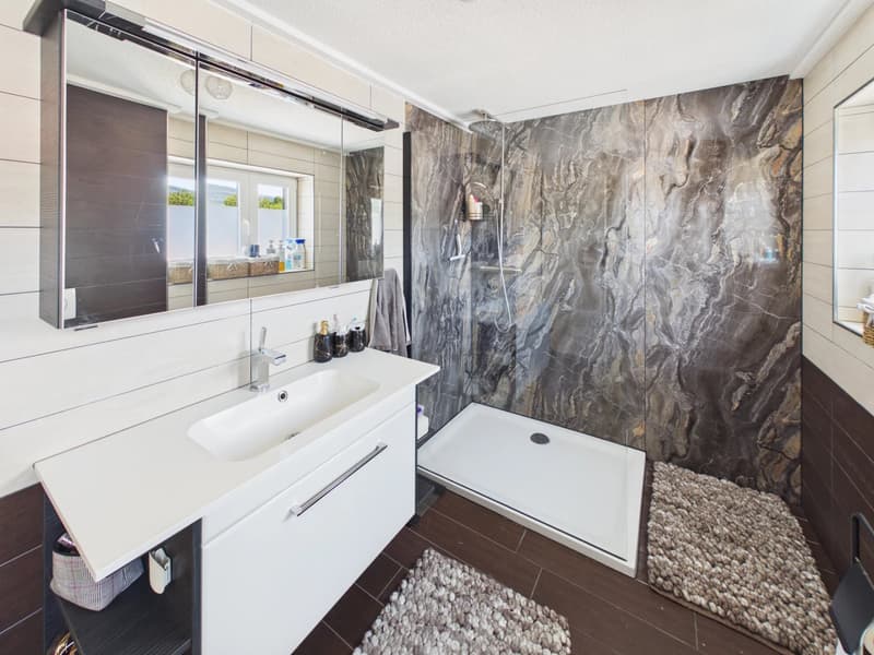 Family home with commercial space (4)