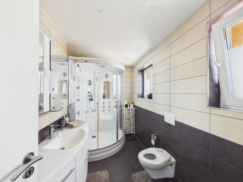 Family home with commercial space (5)