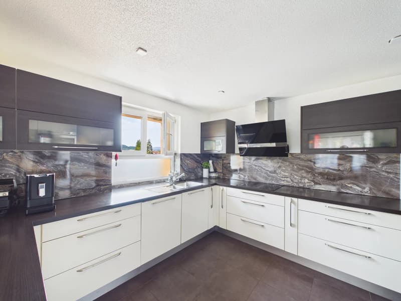 Family home with commercial space (2)