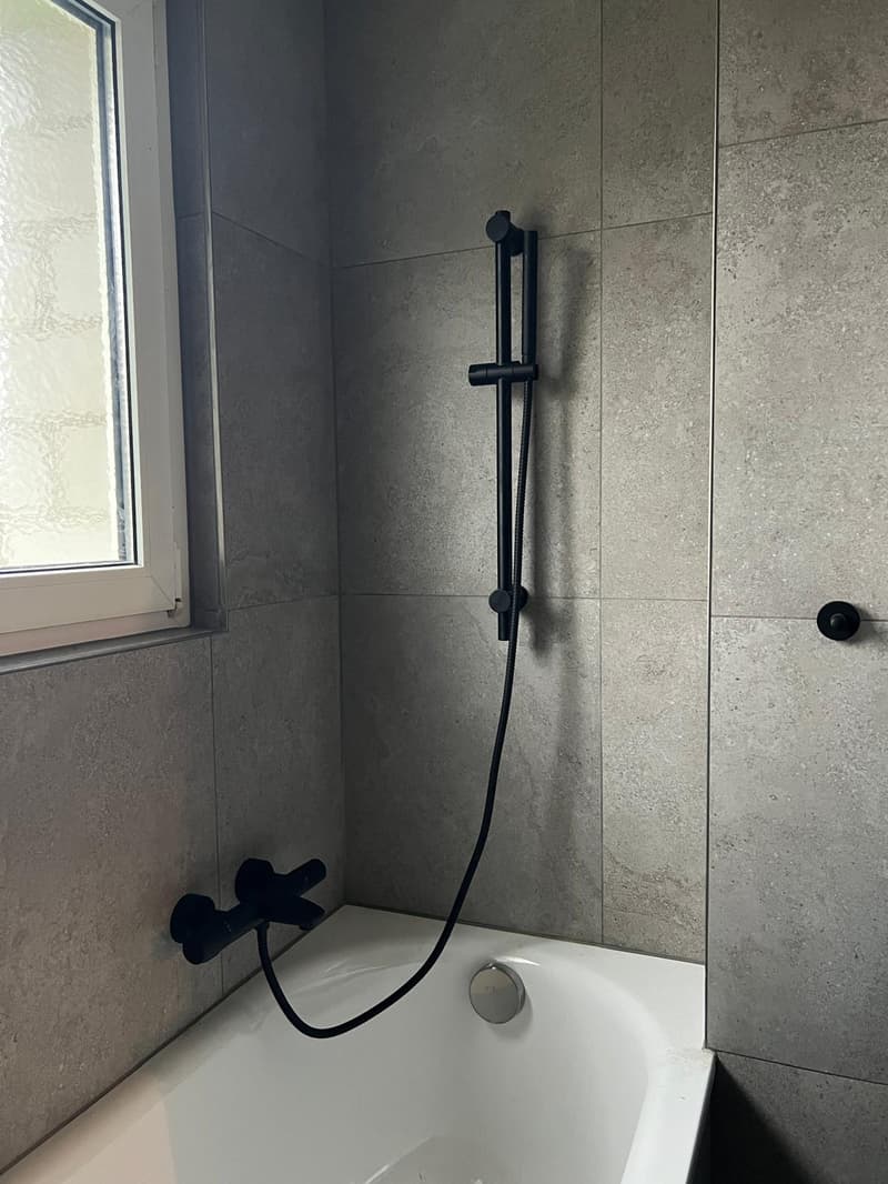 Charmant appartement rénové de 2.5 pièces (4)