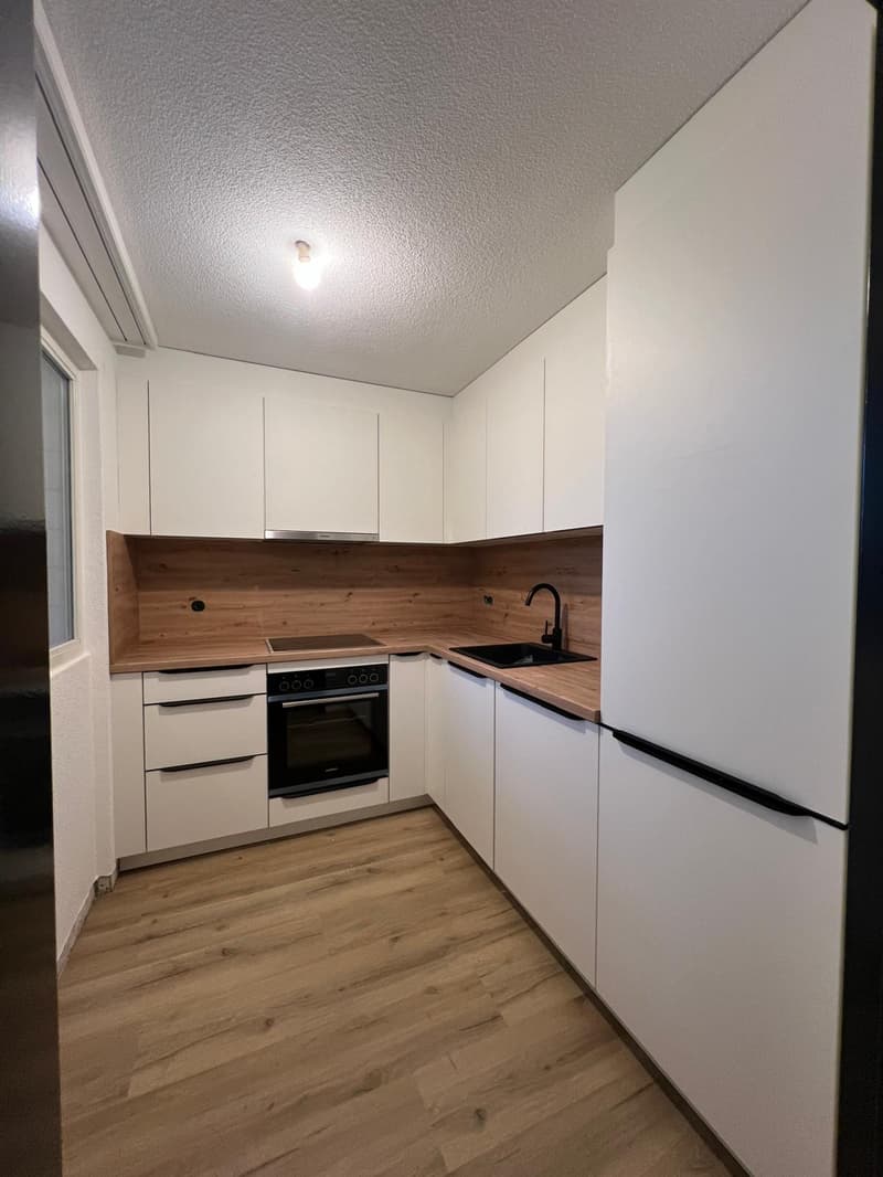 Charmant appartement rénové de 2.5 pièces (1)