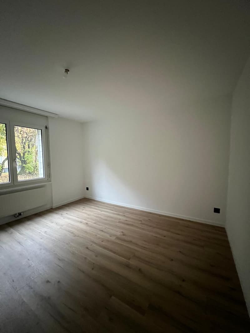 Charmant appartement rénové de 2.5 pièces (2)