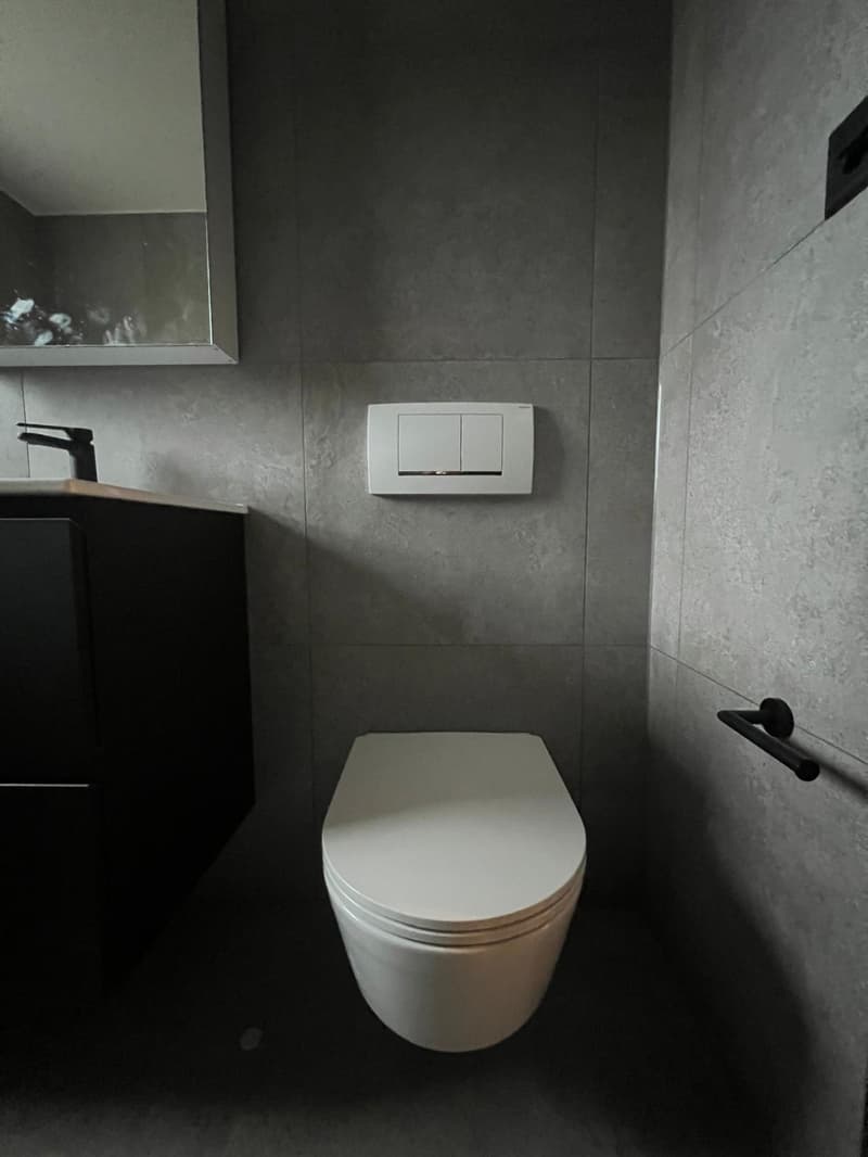 Charmant appartement rénové de 2.5 pièces (5)