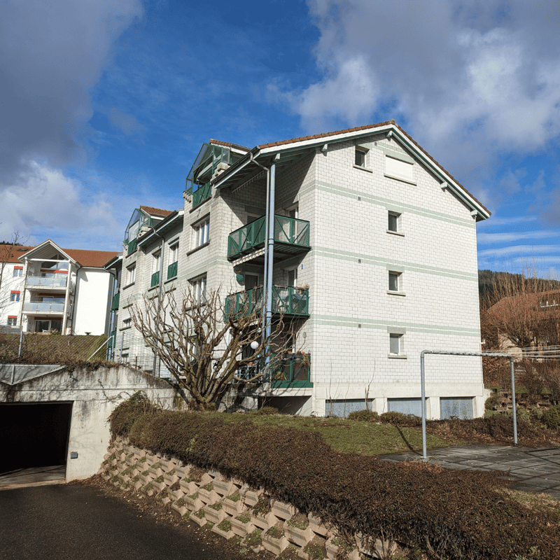 Magnifique appartement de 2.5 pces rénové (13)