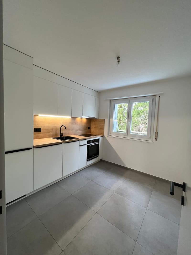 Magnifique 3.5 pièces rénové disponible de suite ! (2)