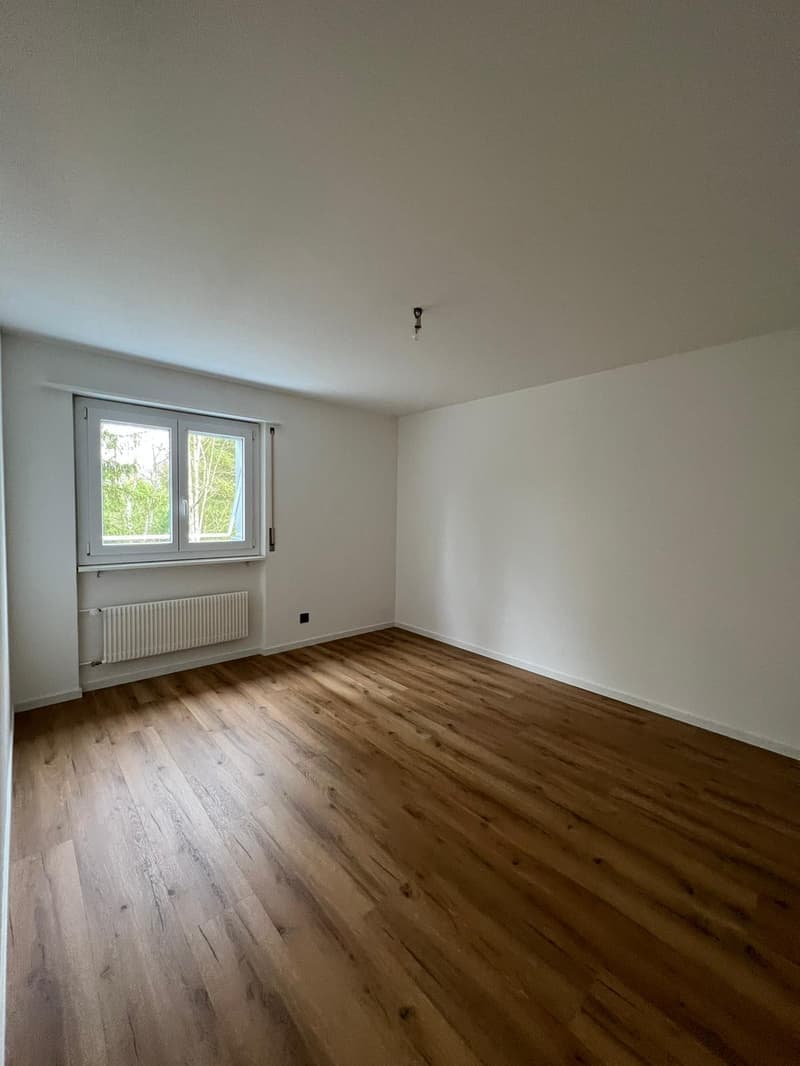 Magnifique 3.5 pièces rénové disponible de suite ! (5)
