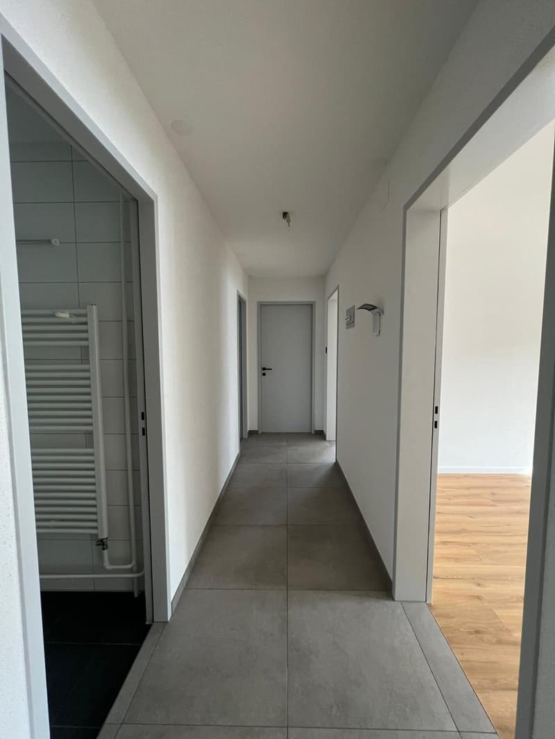 Superbe appartement de 4.5 pièces rénové (10)