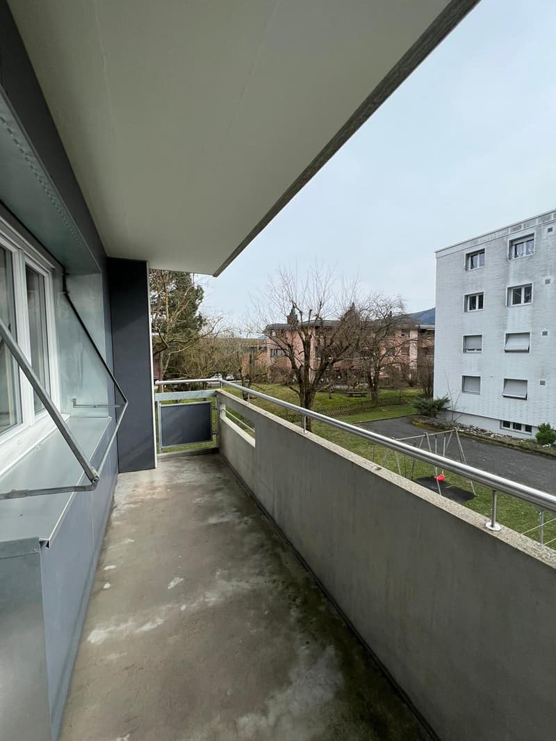 Superbe appartement de 4.5 pièces rénové (4)