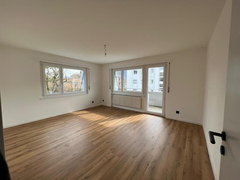 Superbe appartement de 4.5 pièces rénové (3)