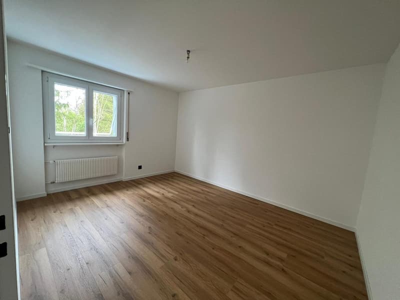 Superbe appartement de 4.5 pièces rénové (5)