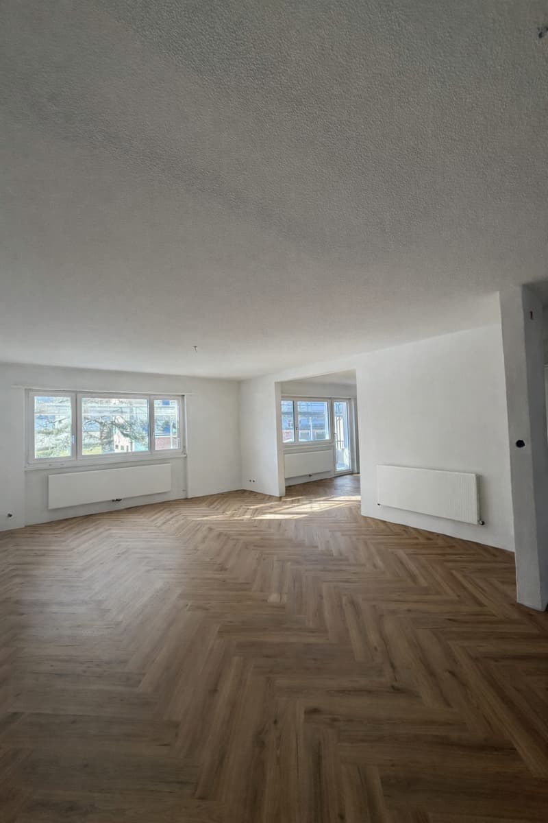 Magnifique appartement de 4.5 pièces rénové à neuf avec intérieur moderne (2)