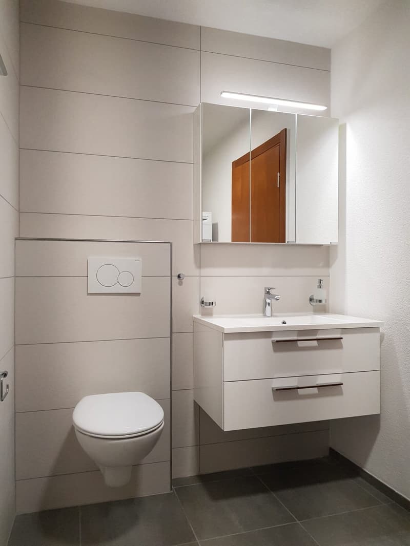 Immeuble de Rendement "Clé en Main" (2019) – 100% Loué – Courfaivre Centre (11)