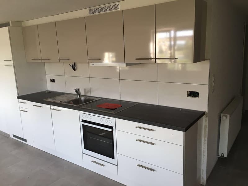 Immeuble locatif rénové avec restaurant et 2 appartements (7)