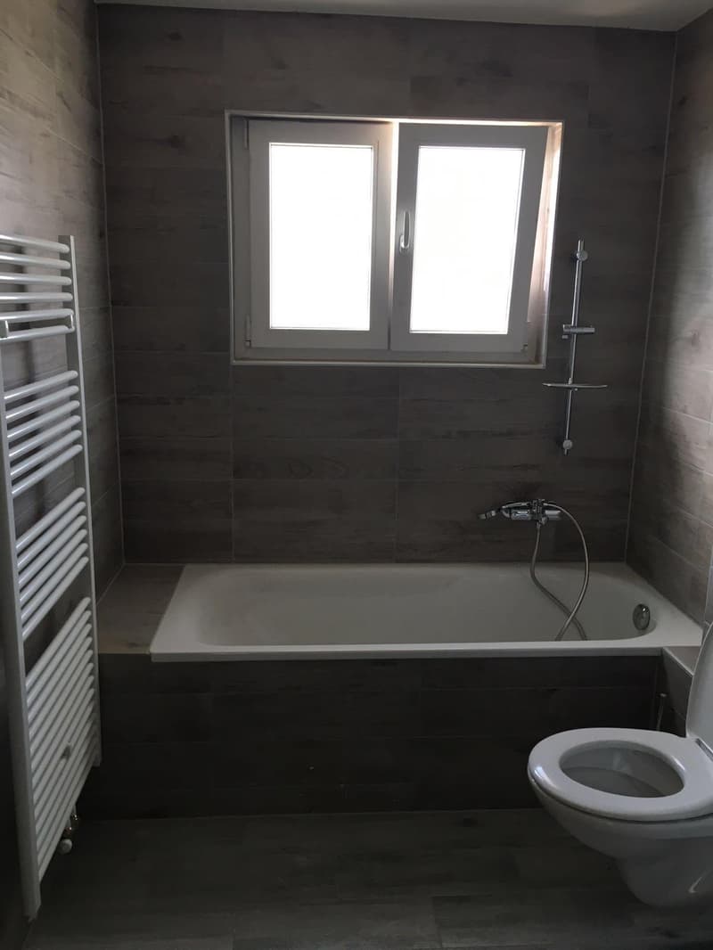 Immeuble locatif rénové avec restaurant et 2 appartements (12)