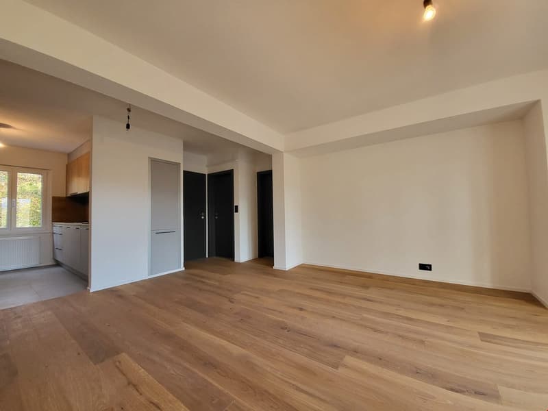Magnifique appartement de 3.5pcs entièrement refait à Delémont (7)