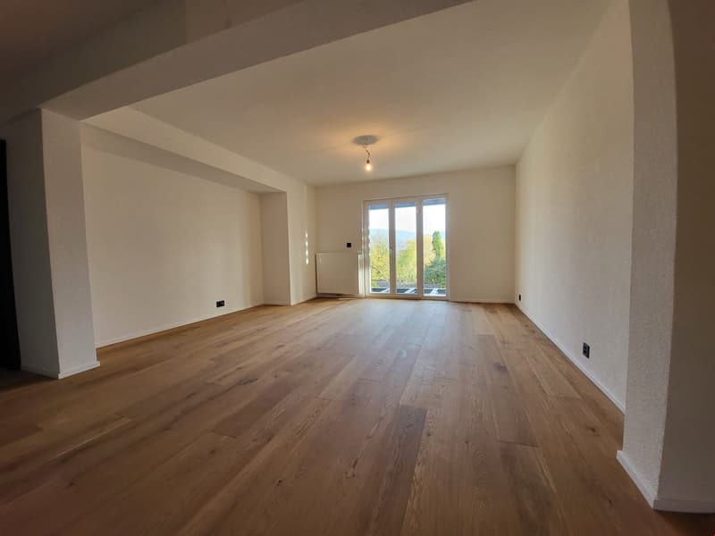 Magnifique appartement de 3.5pcs entièrement refait à Delémont (3)