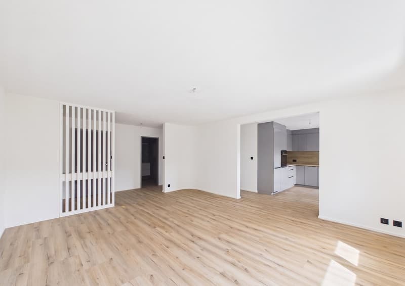 Superbe appartement de 3.5 pièces entièrement rénové au style moderne (3)