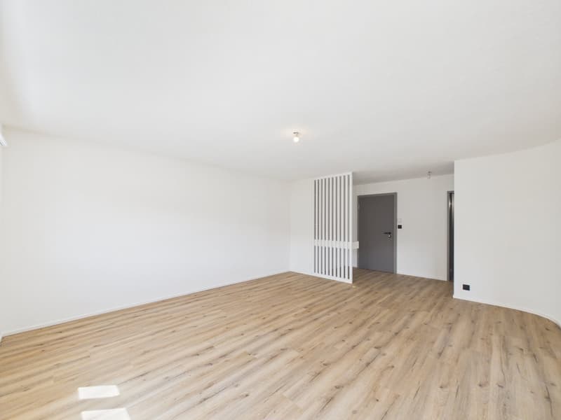 Superbe appartement de 3.5 pièces entièrement rénové au style moderne (4)