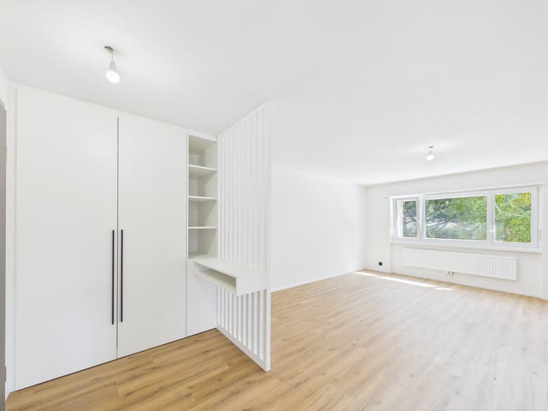 Magnifique appartement de 4.5 pièces rénové à neuf avec intérieur moderne (8)