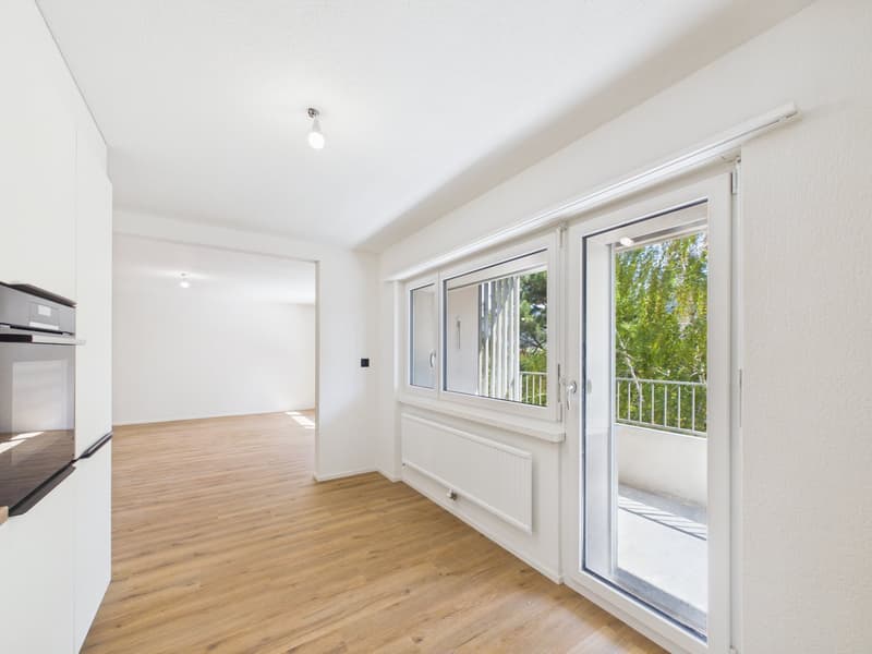 Magnifique appartement de 4.5 pièces rénové à neuf avec intérieur moderne (3)
