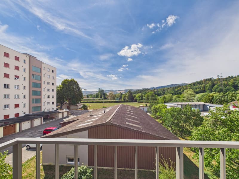 Magnifique appartement de 4.5 pièces rénové à neuf avec intérieur moderne (5)