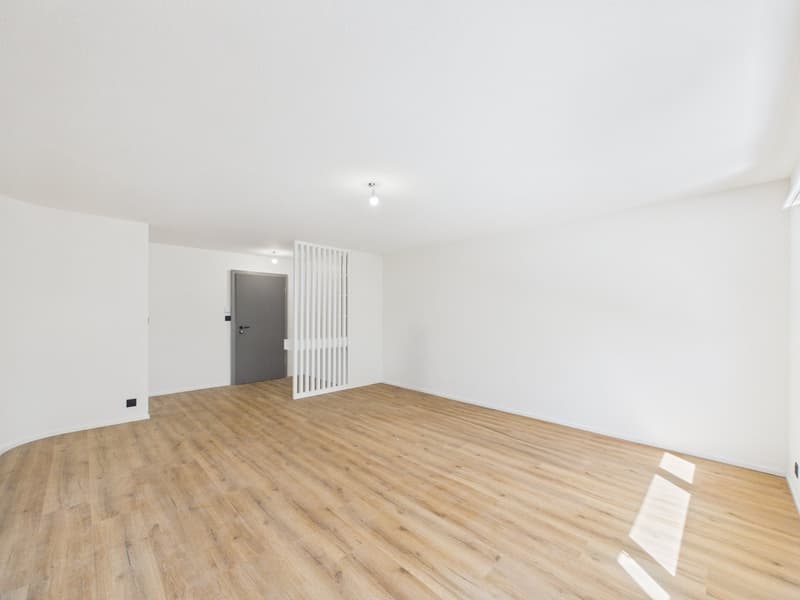 Magnifique appartement de 4.5 pièces rénové à neuf avec intérieur moderne (10)