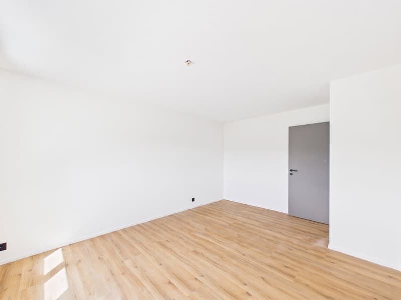 Magnifique appartement de 4.5 pièces rénové à neuf avec intérieur moderne (17)
