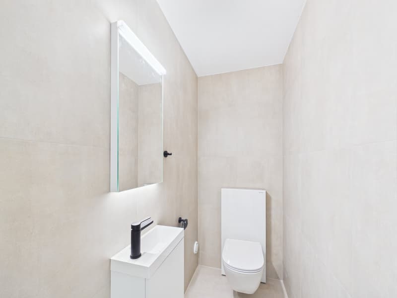 Magnifique appartement de 4.5 pièces rénové à neuf avec intérieur moderne (12)