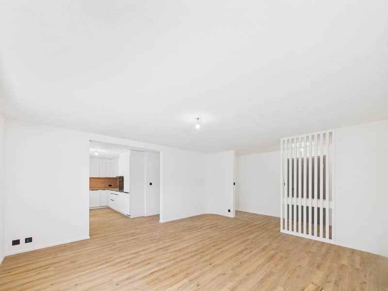 Magnifique appartement de 4.5 pièces rénové à neuf avec intérieur moderne (7)