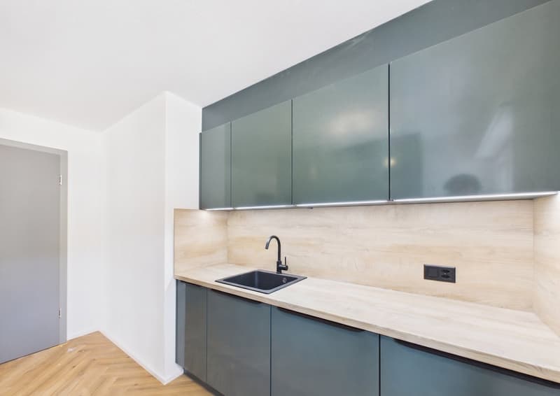 Magnifique duplex de 3.5 pièces entièrement rénové au style moderne (3)