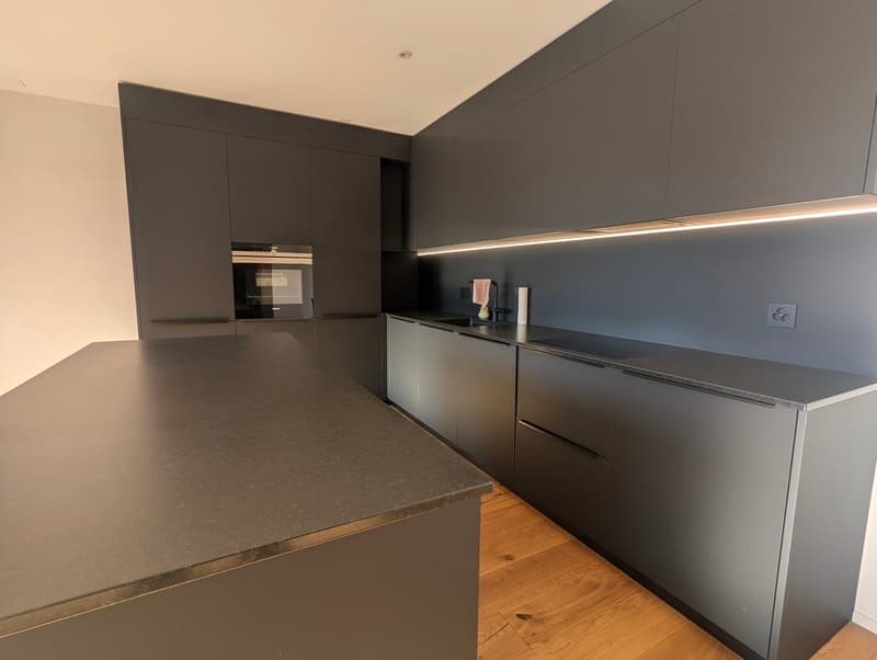 Très bel appartement 2,5 pces de haut standing (4)